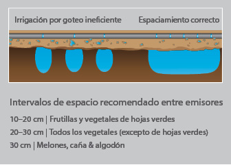 Esparcimiento correcto