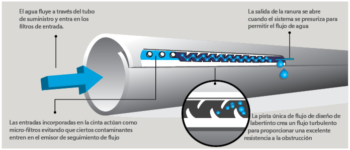 Flujo del agua